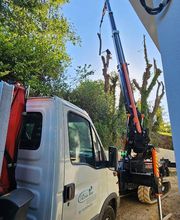 L'ecrin Vert image 5