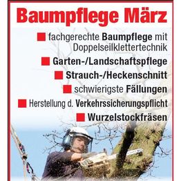 Baumpflege März