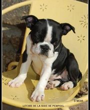 Sandrine Le Rest image 7