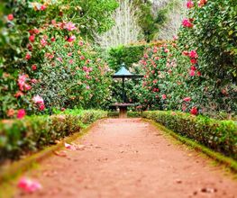 Haus & Gartenservice Bild 1