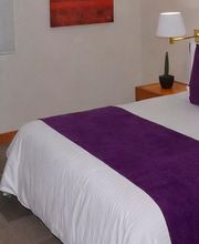 Hotel Lois Express Monterrey Aeropuerto La Fe imagen 7