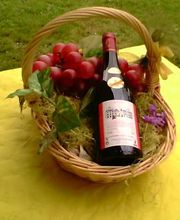 Vignoble Tévenot image 20