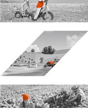 Rechts- und Steuerpraxis H. Zumstein AG Bild 8