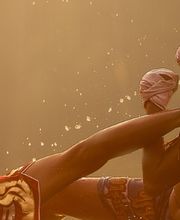 Tiger Boxing image 3