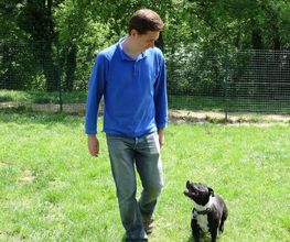 L'isle Aux Chiens image 13