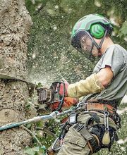 Allais et Fils image 15