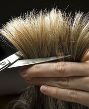 Bézier Véronique image 4