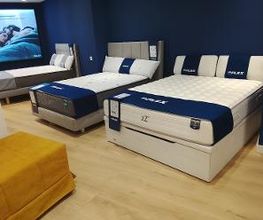 Tienda Flex by Noctalia imagen 3