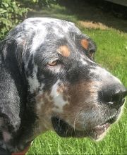 Bochard Cédric image 2