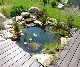 Scenes de Jardin image 13