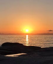 Wisler Brigitte image 8