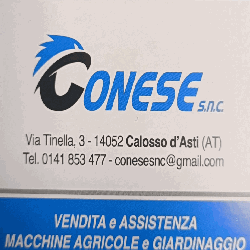 Conese logo