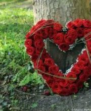 Gartenbau Stefan Lampert Bild 4