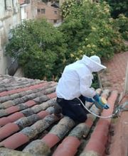 311353247-1-wUJACUo3Kf1785321389655.jpeg