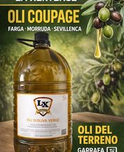 LA XERTENSE imagen 10