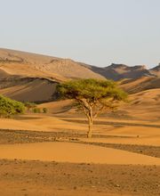 Drucy Isabelle image 3