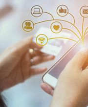 Mediaflux Productions imagen 4