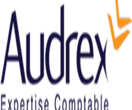 Audrex image 2