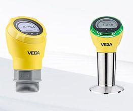 Vega Technique image 4