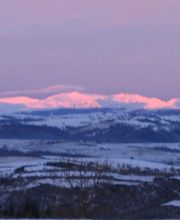 Fourgoux Auvergne Bois image 7