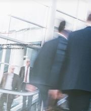 Greifensee Taxi Bild 3