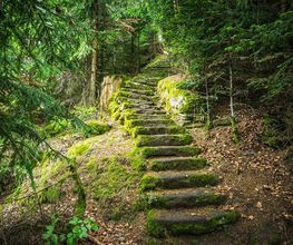 Camping Erbenwald Bild 17
