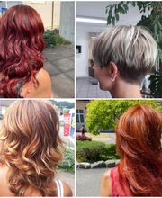 Sophie's Tifs Bild 1