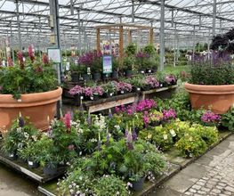 Plantencentrum Velden afbeelding 3