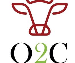 O2C image 2