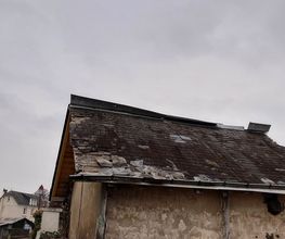 Schatzhabitat image 16