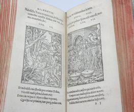 La Librairie Bourbonnaise image 4