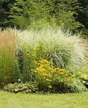 A DOMICILE SERVICES 13 image 2