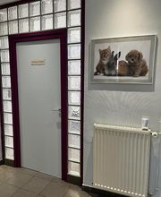 Husson Christian image 5