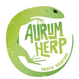 Aurum Herp
