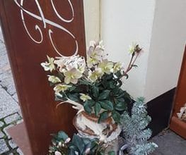 Blumengeschäft Steinmüller Bild 1