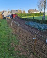 Solutions Vertes image 4