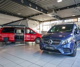 STERNAUTO Bild 6