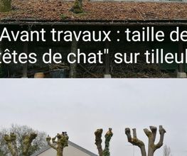 Les Jardins D'Actéon image 13