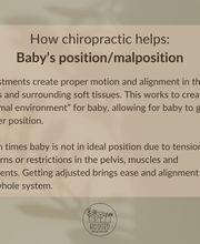 Rooted Chiropractic Club image 10