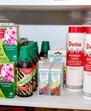 DELE Schädlingsbekämpfung GmbH Bild 10