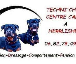 Techni' Chien - Centre Canin image 1