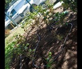 Jardines_La_Sierra_Moralzarzal_Jardineros_Podas_Cesped_Tejados_Canalones_21.jpeg