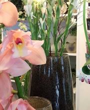 Floradiso AG | Blumenladen | Floristik | Trauerfloristik | Hochzeitsfloristik Bild 1