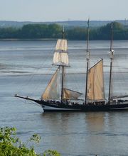 abrams mariteam ug Bild 3