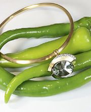 Frischmuth Christine Bild 7