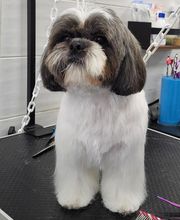 A FLAIR ALLURE image 12