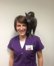 Clinique vétérinaire PK3 image 15