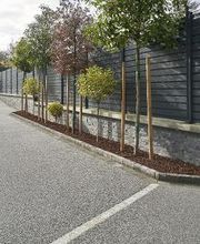 Daniel Moquet signe vos allées - Ent. Tardy Thivent image 6