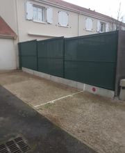Albizzia image 4