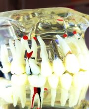 Zahnarztpraxis D. Mugescu Bild 12